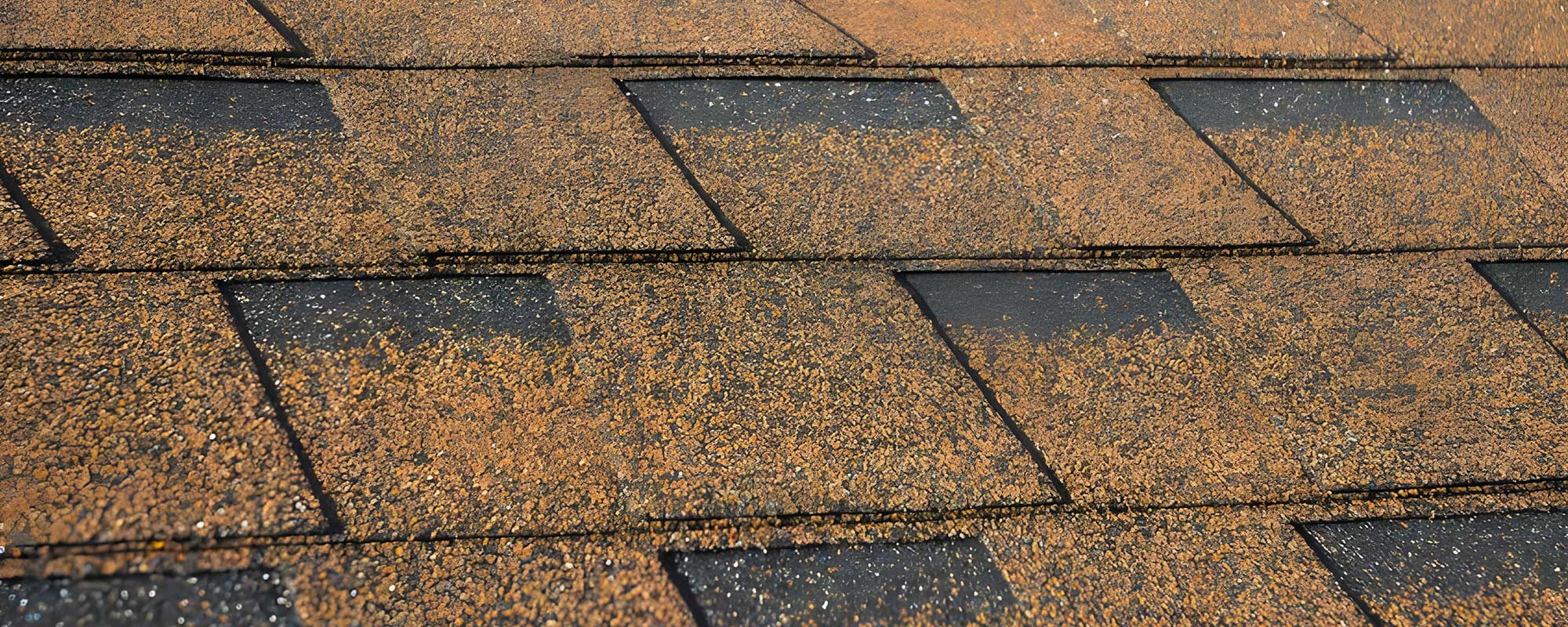 How to Choose The Longest Lasting Roof Material